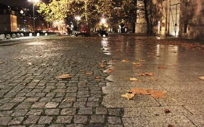 Скачать обои листья, город, осень, leaves, the city разрешение 1920x1200  #41766
