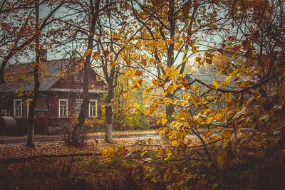Осень в городе🥀 | Instagram