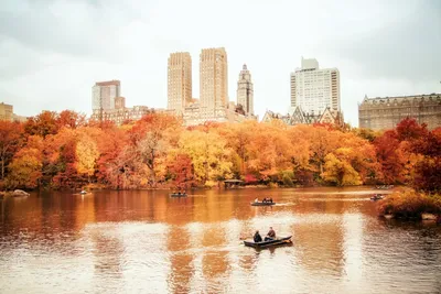Нью-Йорк. Осень в Центральном Парке, Америка, города и страны, Нью-Йорк,  осень х - Обои для рабочего стола