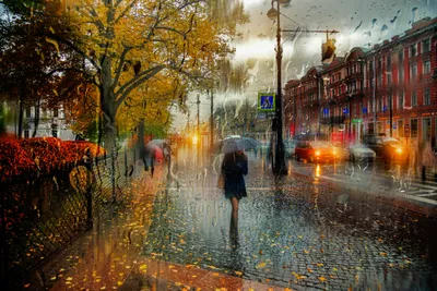 Обои осень, город, улица, дождь, прохожие, зонтик на рабочий стол