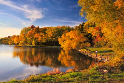 Осенний лес: 27 фотографий | Лес, Фотографии, Осень