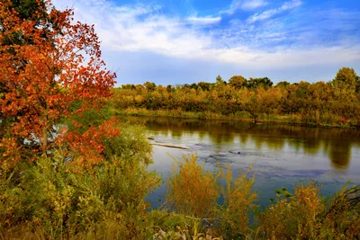 Осень, осень…Лес остыл и листья сбросил! — Lada Приора седан, 1,6 л, 2009  года | фотография | DRIVE2