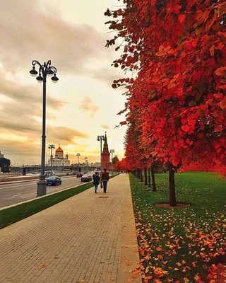 Что не пропустить на фестивале \"Золотая осень\" в Москве - Российская газета