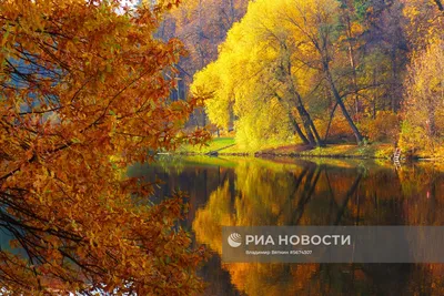 Осень в Москве | Пикабу