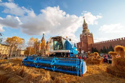 Фестиваль «Золотая осень» в Москве, 2024. Площадки, сайт, программа, даты,  где проходит, как добраться на Туристер.Ру