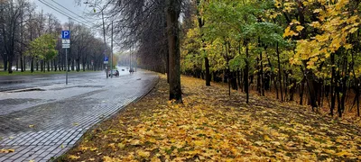 Москва Осень Фотографии – Telegraph