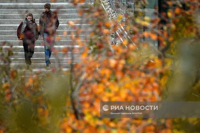 Осень в Москве,листопад,акварель, …» — создано в Шедевруме