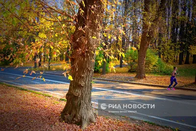 Золотая осень в Москве Кремле Стоковое Изображение - изображение  насчитывающей индийско, день: 128927831