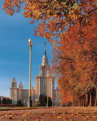 Осень в Москве: куда сходить и что посмотреть, места для осенних прогулок —  Кавёр