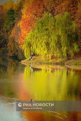 Купить картину Золотая осень в Москве от художника Жужгов Валерий