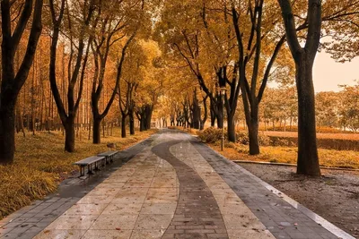 МОСКВА | MOSCOW on Instagram: \"Золотая осень 🍂 в столице Хорошо, есть осень,  она нежно и аккуратно готовит нас к холодам. Любимая осень. Время  размышлений, рук в карманах, глинтвейна по вечерам и