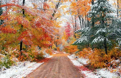Зимняя осень (55 фото) - 55 фото