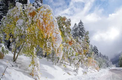 Осень зима картинки - 59 фото