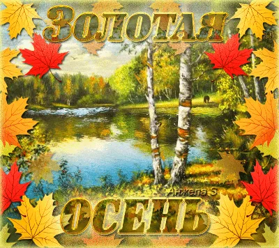 Цвета осени. 🍁 🍂 🍃 #беларусь #минск #природа #пейзаж #облака #небо #осень  #золотая #листья #парк #belarus #minsk #rb #instagram #europa… | Instagram