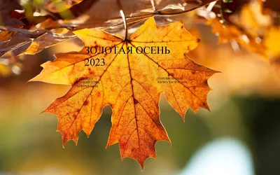 City #Wallpaper #осень #Обои #Autumn | Wallpaper Best | Дзен