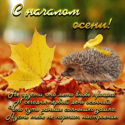 Природа Байкала | Золотая Осень, сентябрь на реке Ока...