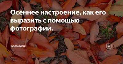 Осеннее настроение, автор Туранов Егор Ильич