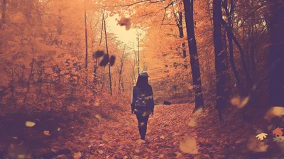 Молодая Женщина Наслаждаясь Осенью — стоковые фотографии и другие картинки  Осень - Осень, Женщины, Счастье - iStock