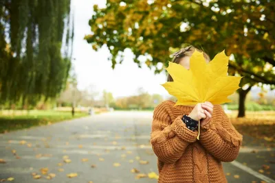 Игры с осенними листьями: подборка забав для развития ребенка | Дети в  городе Украина