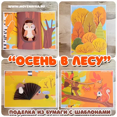 Что делать на осенних каникулах: интересные идеи, которые поразят детей -  ukraina-novosti - Учеба