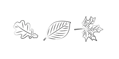 Осенние листья в трех формах черно-белые векторные иллюстрации | Премиум  векторы
