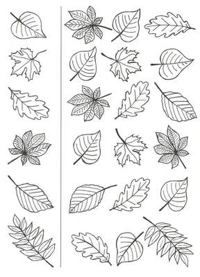 Картинки листья осенние черно белая (65 фото) » Картинки и статусы про  окружающий мир вокруг