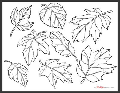 Фотообои Осенние листья на стену. Купить фотообои Осенние листья в  интернет-магазине WallArt