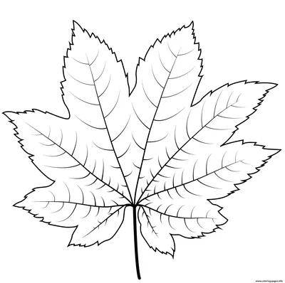 Набор каракулей ручной работы линии осенние листья черно-белые | Премиум  векторы