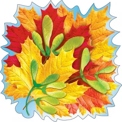 Осенний лист на прозрачном фоне для оформления - фото и картинки  abrakadabra.fun