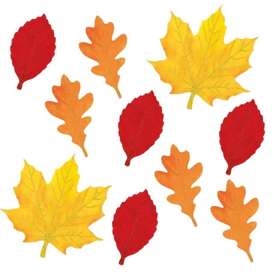 Осенний Лист Плоский Дизайн Набора Зеленый Красный И Оранжевый Осенние  Листья Коллекции — стоковая векторная графика и другие изображения на тему  Pinaceae - iStock