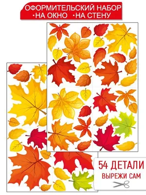 Осенние листья для оформления школьной доски или группы детского сада на 1  сентября