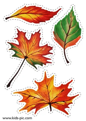 Шар с рисунком \"Осенние листья\" - купить по выгодной цене | Магазин шаров