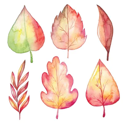 Осенние листья | Decorel