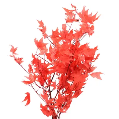 Комплект односторонних фигурных элементов для оформления Осенние листья  715х640мм (42559 СТНД) для детского сада купить в спб