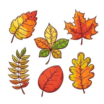 Осенние листья простые рисунки - 68 фото