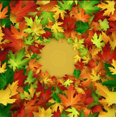 Осенние листья обои 1080p, осень, время года, листья фон картинки и Фото  для бесплатной загрузки