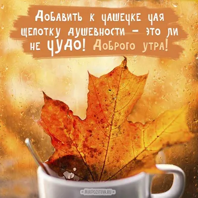 Осенние открытки доброго утра - самые красивые картинки для мотивации и  хорошего настроения