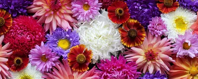 Каллы, гербера и подсолнух. Осенние цветы в букете от Lotlike.ru. Купить  цветы