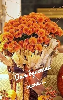 Фон рабочего стола где видно bush chrysanthemum, red autumn flowers, bright  beautiful wallpaper, кустовая хризантема, красные осенние цветы, яркие  красивые обои