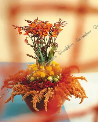 Фотообои цветы 368x280 см Осенние листья на светлом фоне в рисованном стиле  (14689P10) +клей (ID#1905637804), цена: 1400 ₴, купить на Prom.ua