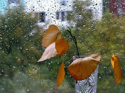 Осенний дождь | ArtBUP – международная платформа для живописи