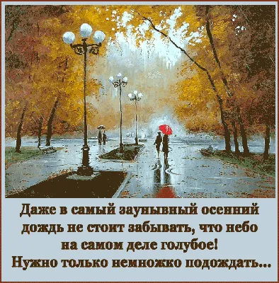 Осенний дождь :: виктор омельчук – Социальная сеть ФотоКто