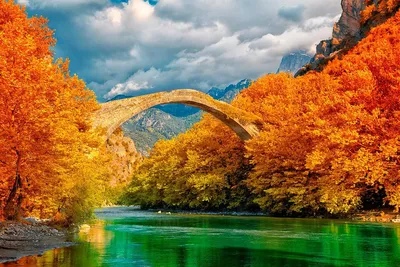 Скачать обои Осенний лес на берегу реки на рабочий стол из раздела картинок  Осень