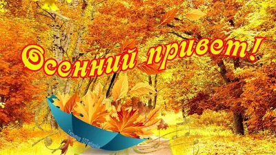 Осенний привет» картина Павловской Марии (бумага, акварель) — купить на  ArtNow.ru