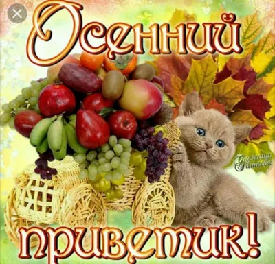 Осенний приветик открытки, поздравления на cards.tochka.net