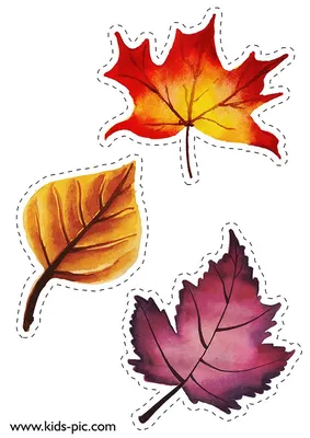 Осенних листьев для вырезания