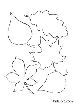Шаблоны Осенних Листьев Для Вырезания | Kids-Pic.com | Fall leaf template,  Leaf template, Autumn leaves