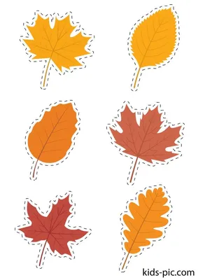 Шаблоны Осенних Листьев Для Вырезания | Kids-Pic.com | Leaf template, Fall  leaf template, Paper flower art