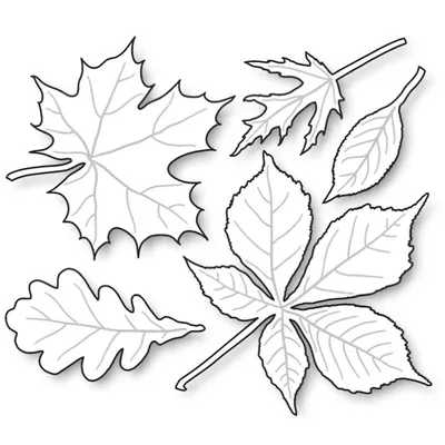 Шаблоны осенних листьев в цвете - 57 фото