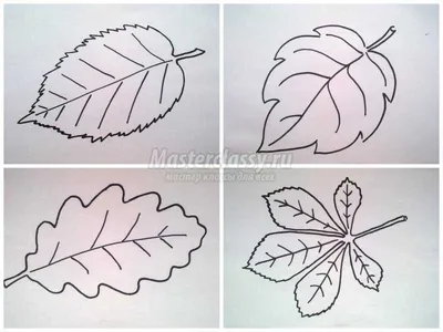 Осенние листья на прозрачном фоне PNG , лист, осень, сентябрь PNG картинки  и пнг PSD рисунок для бесплатной загрузки